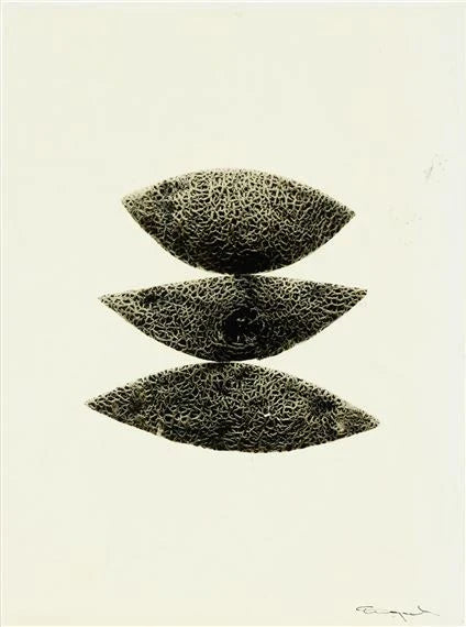 Ingvar Eriksson - Melon (Monochrome pigment print)